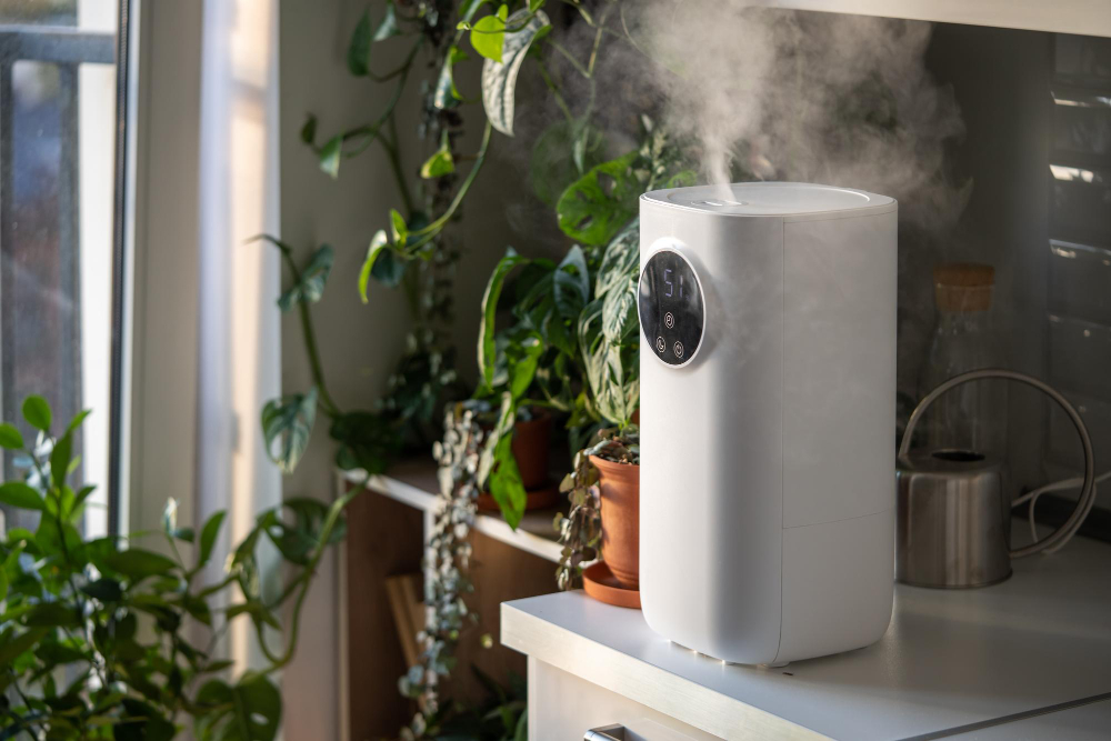 Les meilleures astuces pour éliminer l&rsquo;humidité et assainir votre intérieur